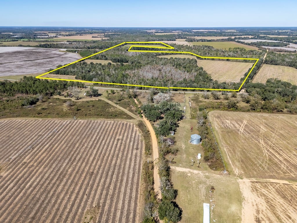 1203 Bellview Road, Colquitt, GA, 39837 — Photo 3