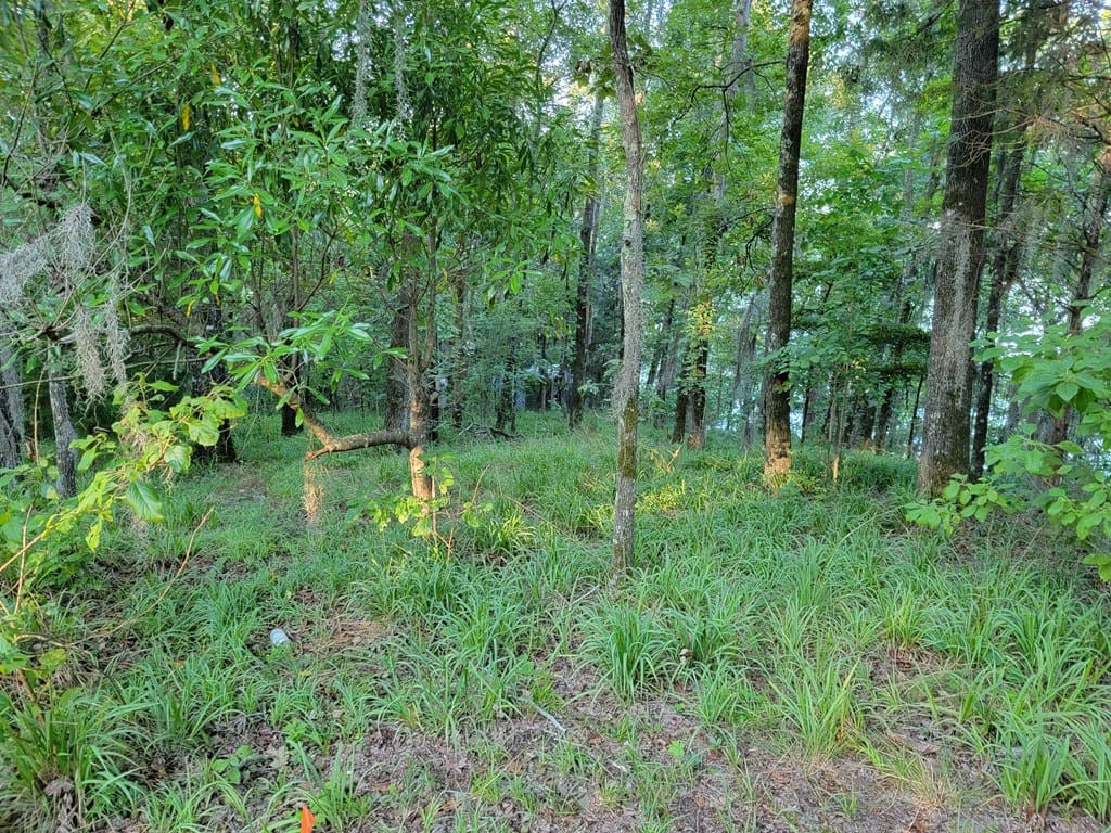 Georgetown, GA 39854