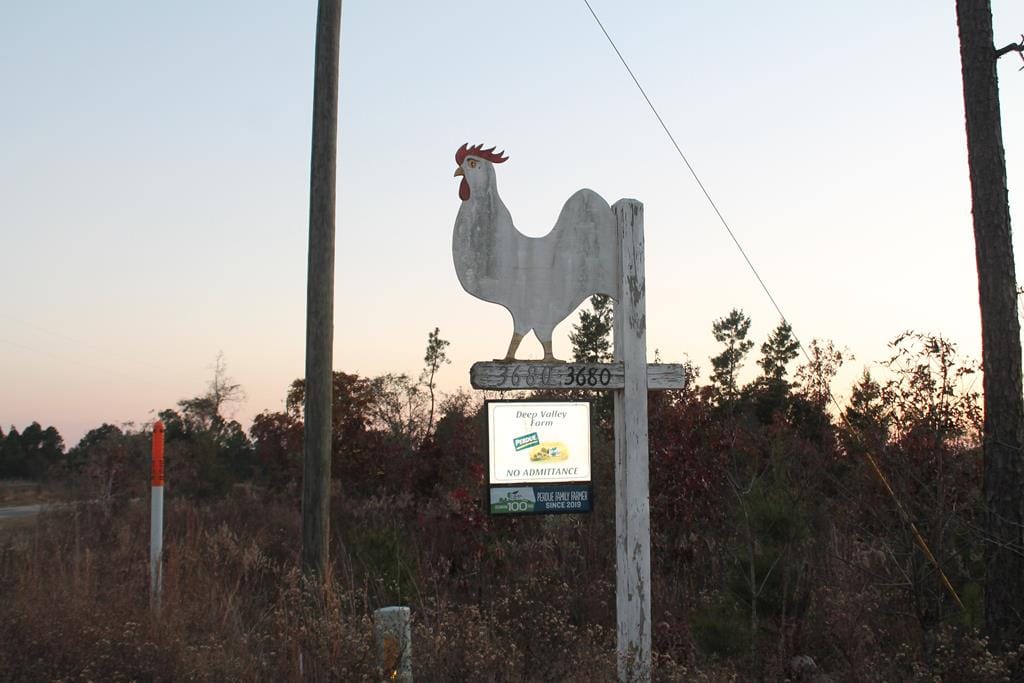 3680 Jackson Rd, Roberta, GA 31078