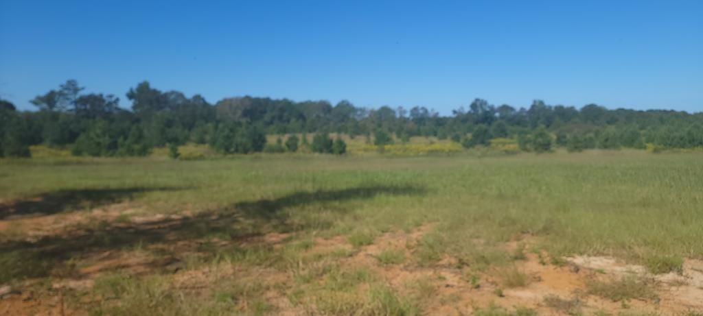 0 Baldee Road, Bartow, GA, 30413