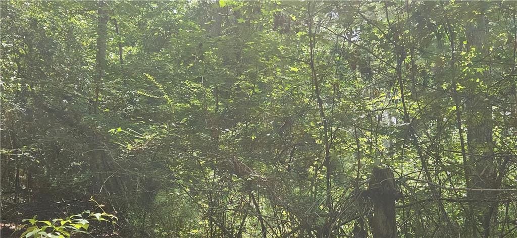 29 Azalea Loop, Pittsview, AL, 36871