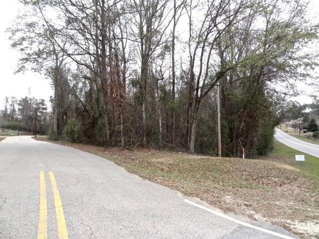 1600 Sandfort, Phenix City, AL, 36867 — Photo 3