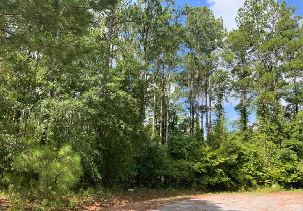 5508 Ironwood Court, Albany, GA, 31721