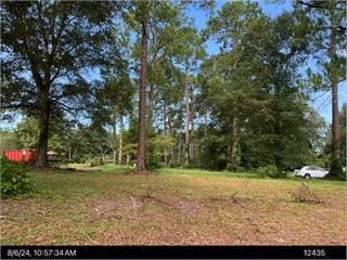 744 Willie Pitts Junior Road, Albany, GA, 31707