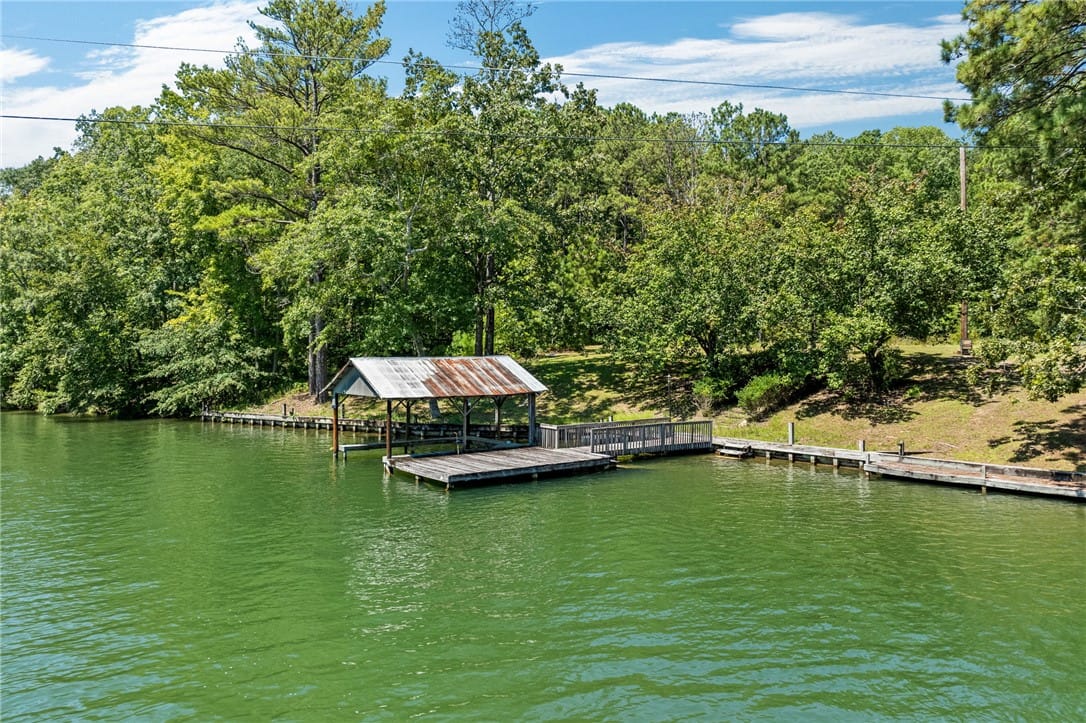 1 Lakeview Drive, Eclectic, AL, 36024