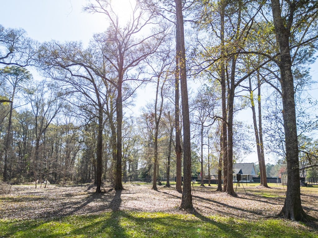 220 Fire Tower Road, Leesburg, GA, 31763 — Photo 3