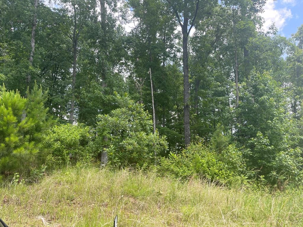 LOT 61 Boxwood Court, Midland, GA, 31820
