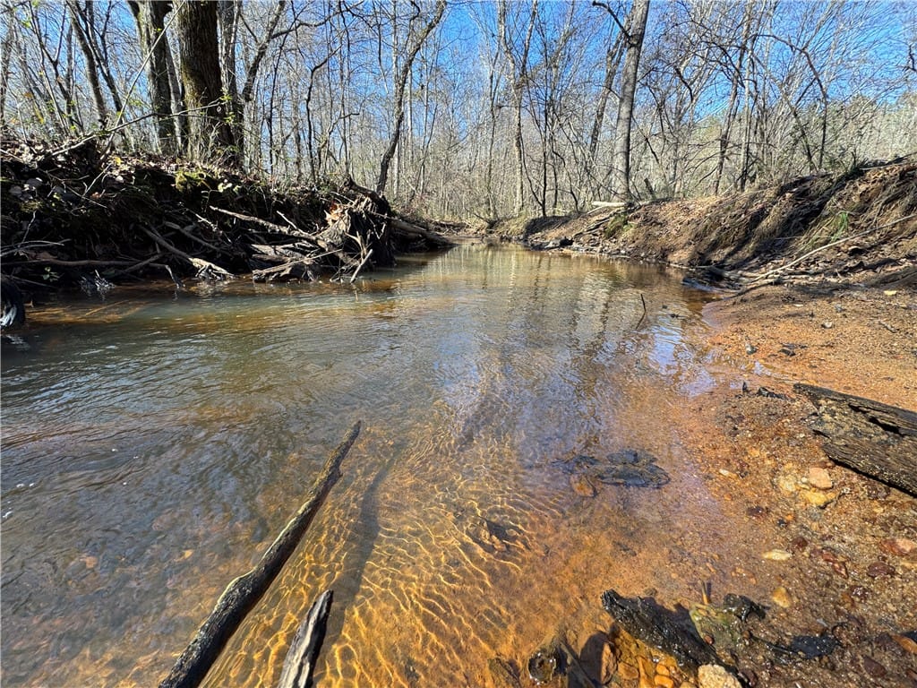 0 COUNTY ROAD 48, Lafayette, AL, 36862