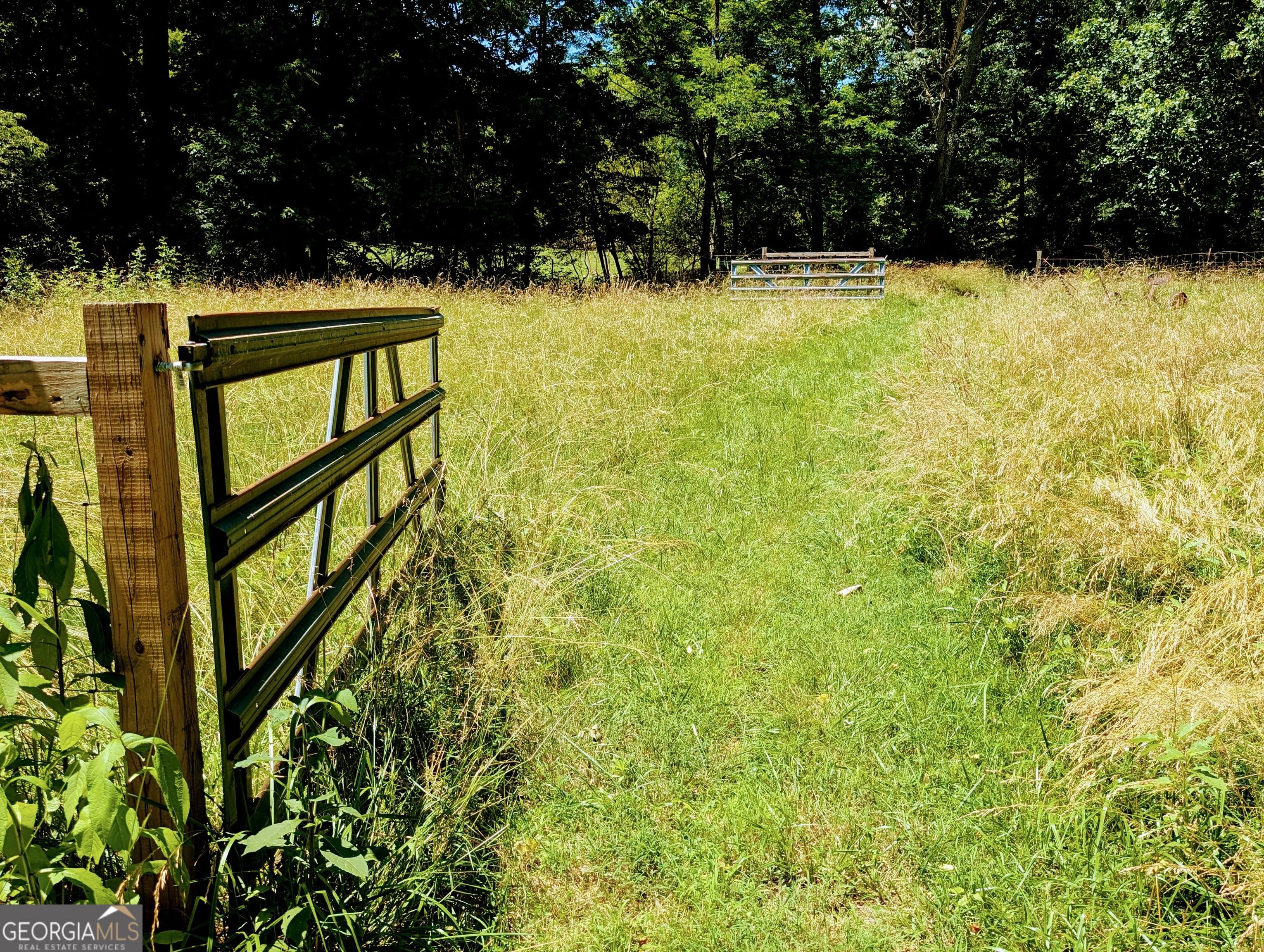 169 E Vineyard Rd, Hayesville, NC 28904
