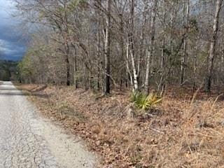 0 Lee Road 209, Phenix City, AL, 36870