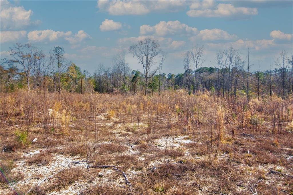 00 Cr-286, Smiths Station, AL, 31890 — Photo 2