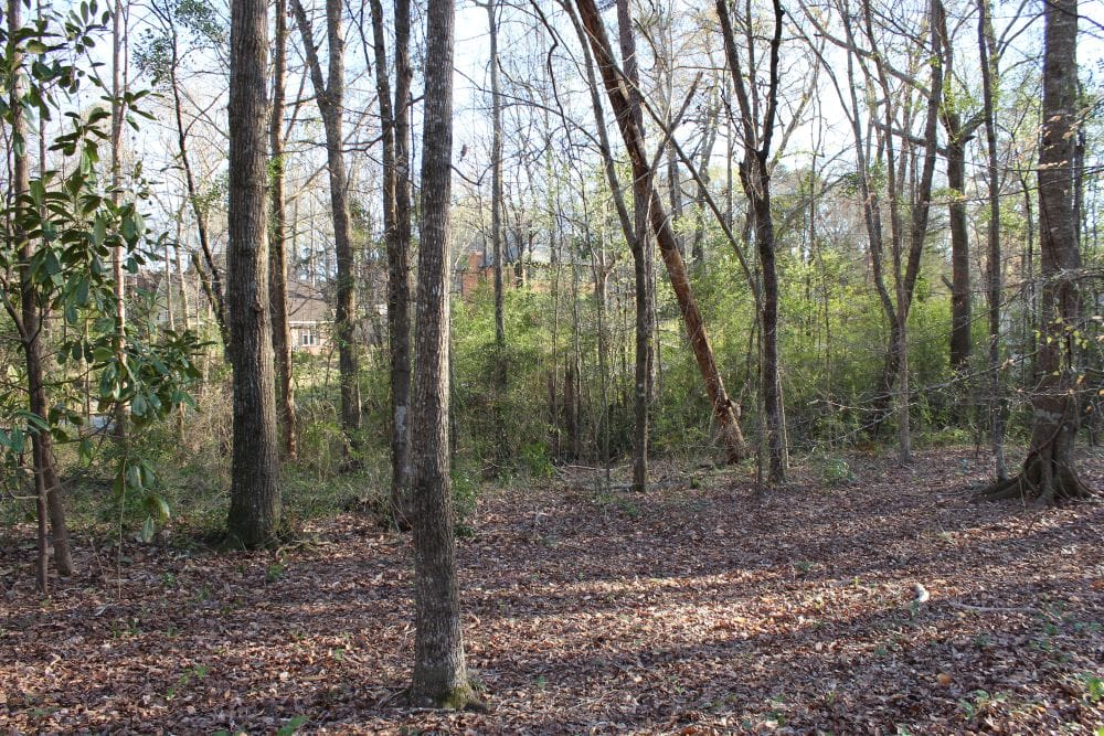 0 SUMMERTREES, Auburn, AL, 36832