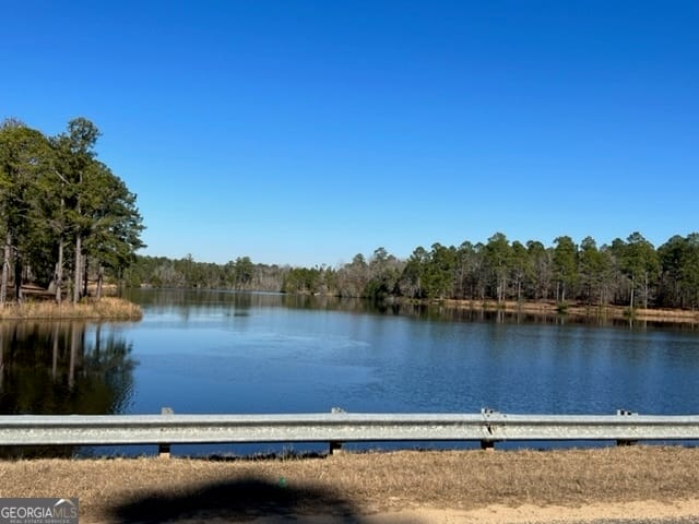 29 Mallard Rd, Butler, GA 31006