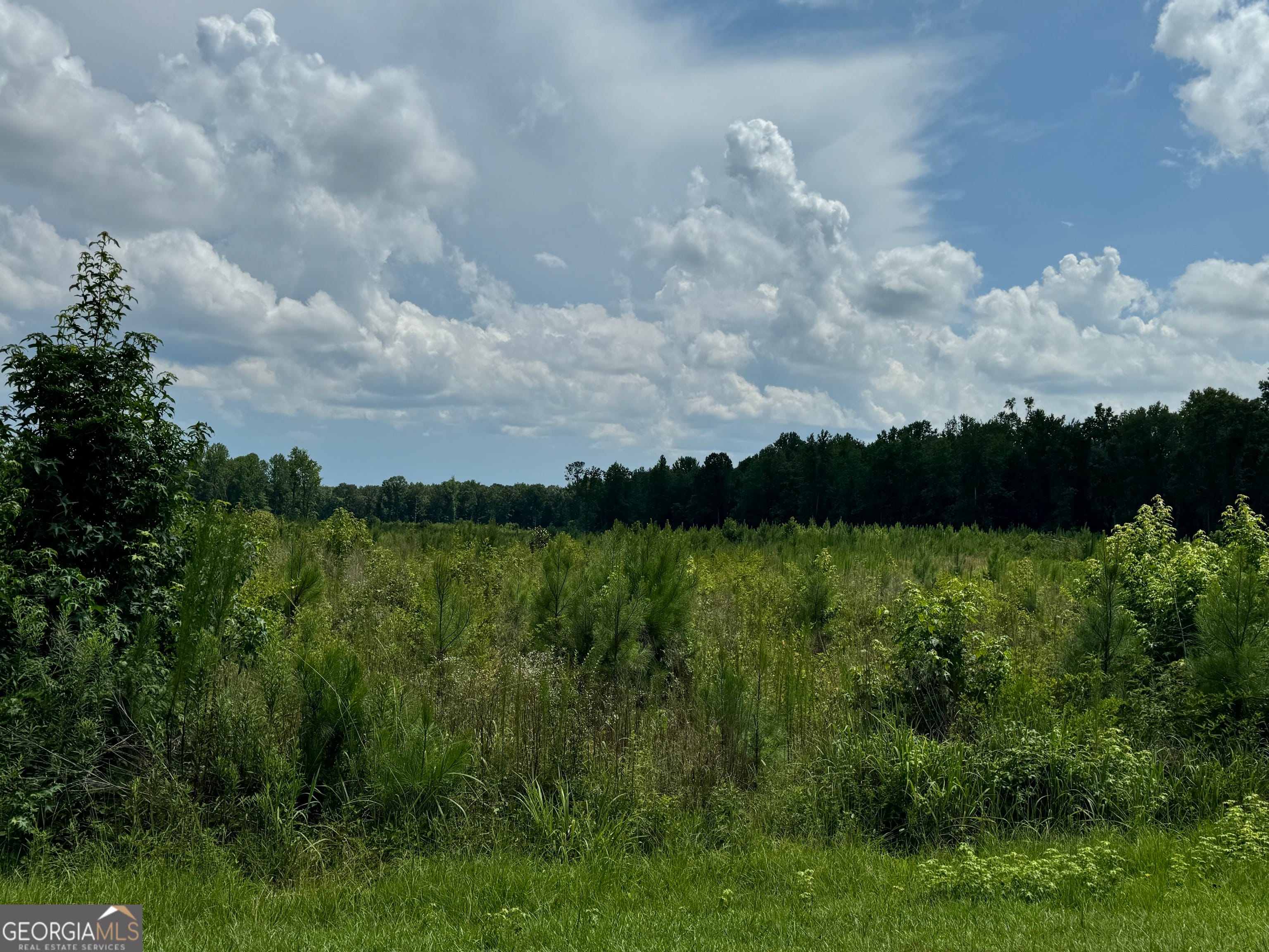 3854 U.S. 19, Meansville, GA, 30256