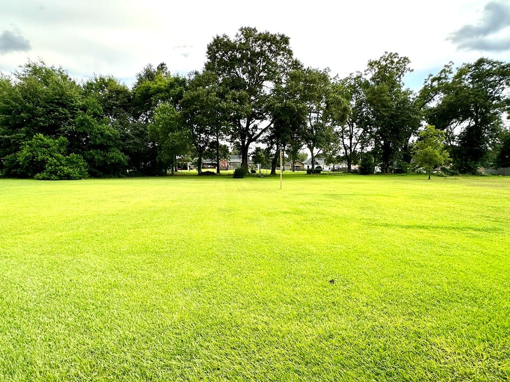 136 Pheasant Drive, Leesburg, GA, 31763, BACK YARD