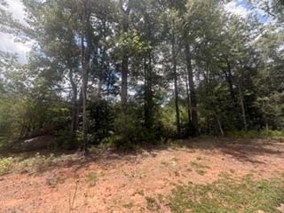 10201 Emerson Way, Columbus, GA, 31820