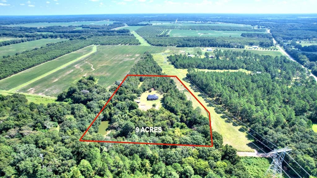 8804 Juniper Rd Ne, Baconton, GA, 31716