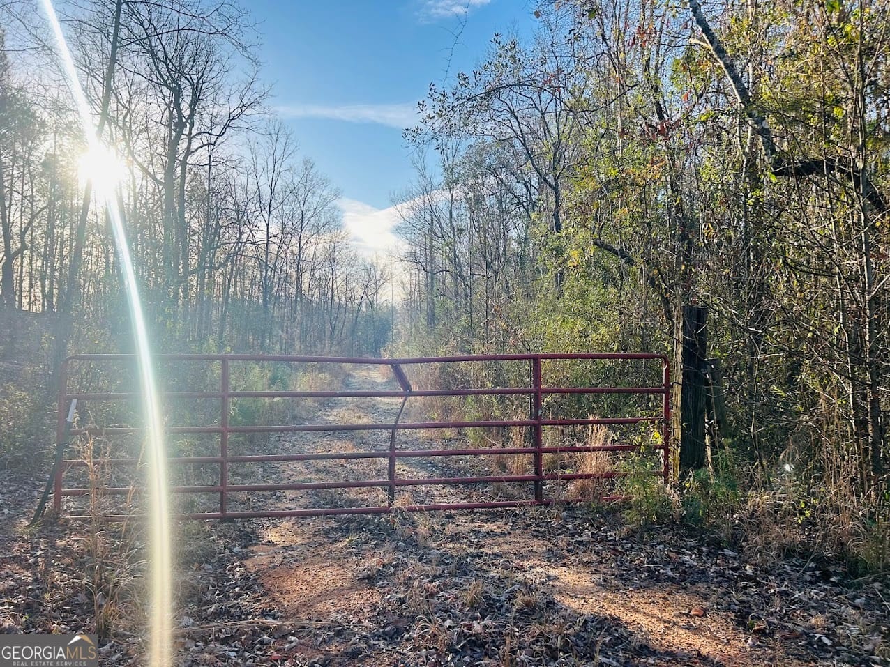 Bickley Rd, Butler, GA 31006