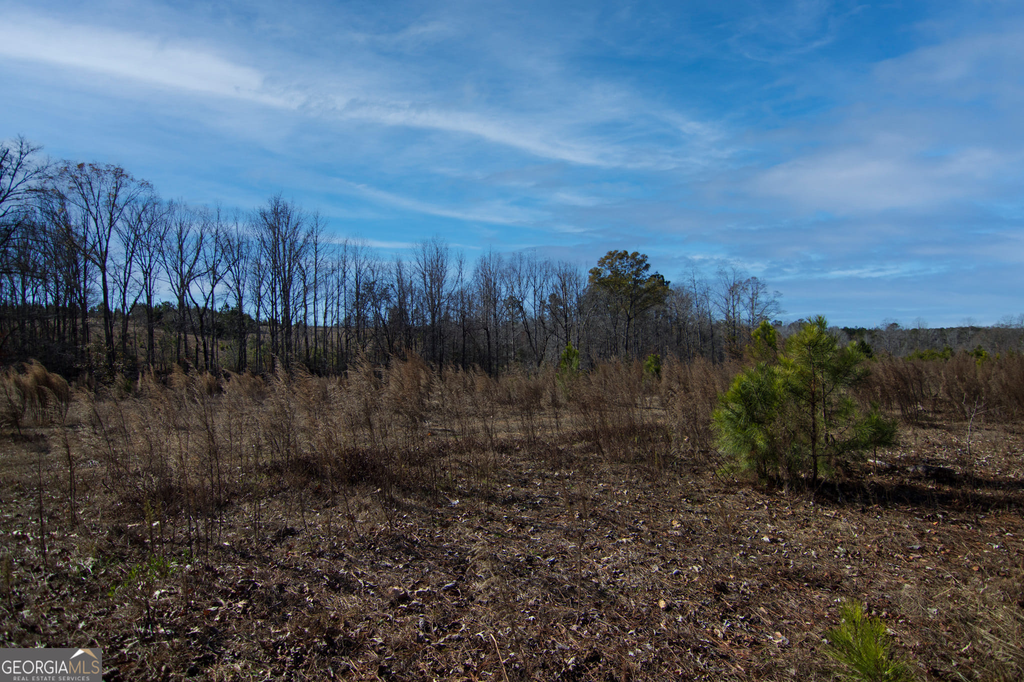 0 Chestnut Grove Road, Shiloh, GA, 31826