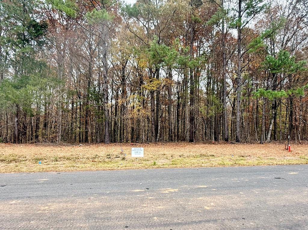 14 Rolling Meadows Way, Waverly Hall, GA, 31831 — Photo 1