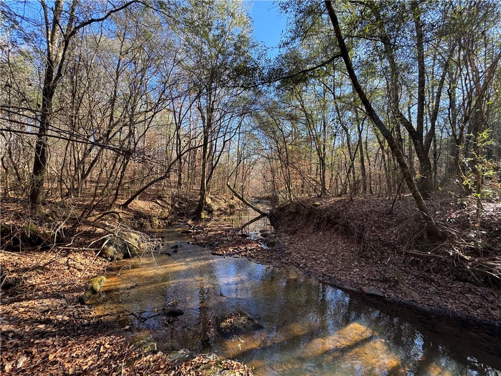 0 PLEASANT, Camp Hill, AL, 36850 — Photo 3