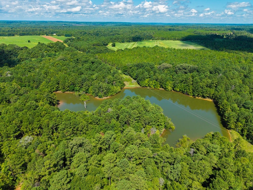 266 +/- AC Loven Mill Rd, Richland, GA, 31825, 3 acre lake