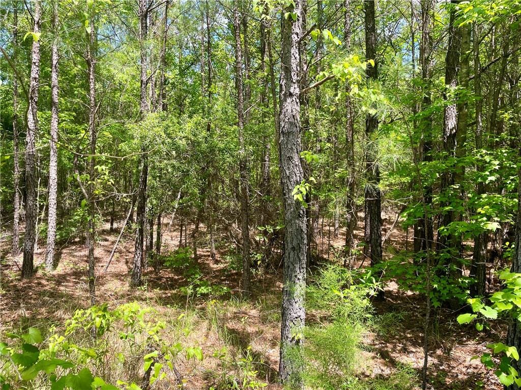 385 Ridge, Seale, AL, 36875 — Photo 3