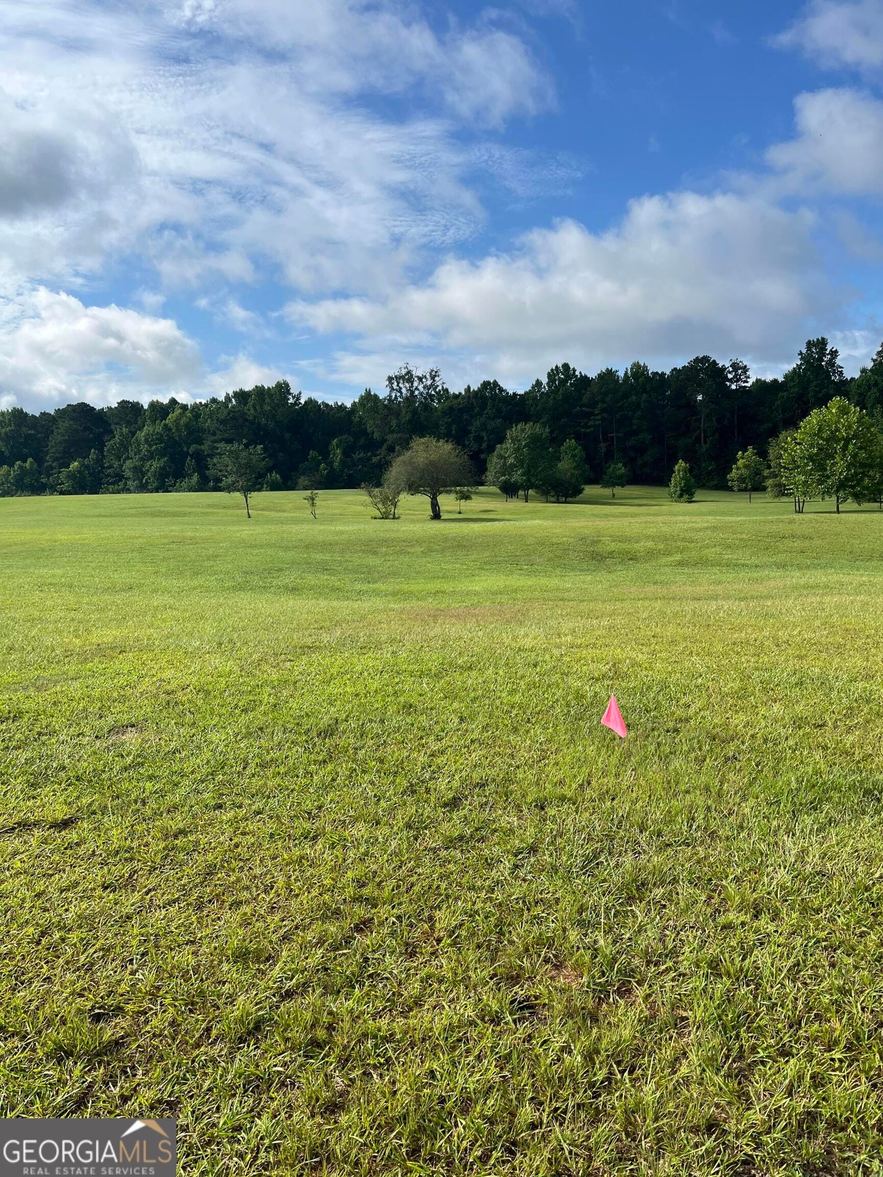 9624 Rocky Mt Rd, Luthersville, GA 30251