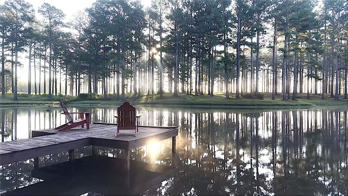1362 North Friendship Drive, Georgiana, AL, 36033