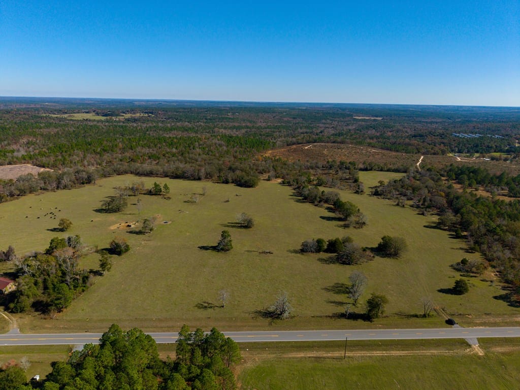 2240 Ga Highway 0090, Mauk, GA, 31058, looking south across property