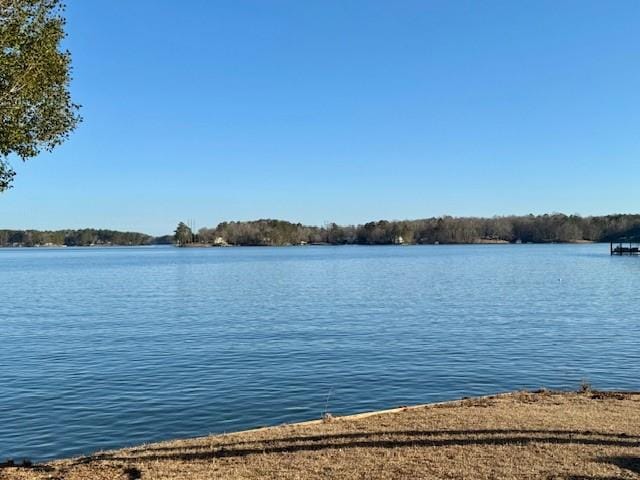 233 Lee Road 841, Valley, AL, 36854 — Photo 2