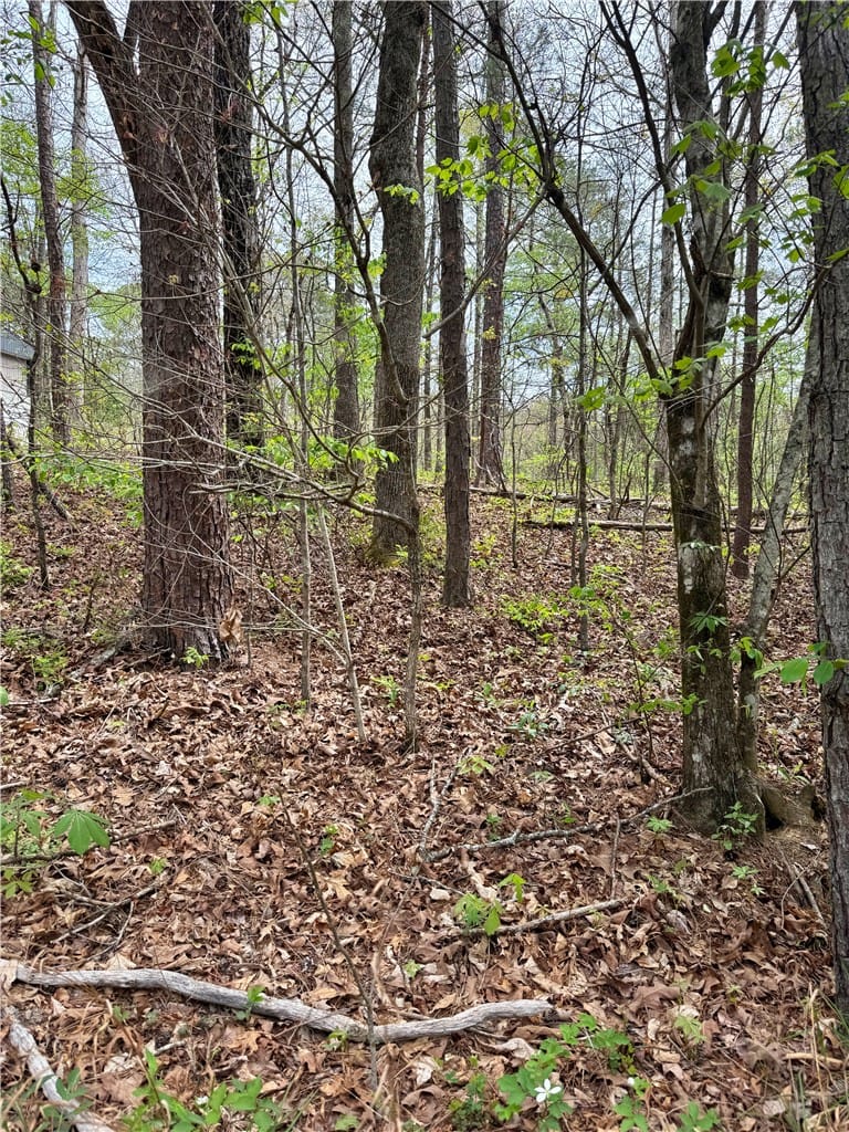 Lot 24 MARSHALL, McCalla, AL, 35111 — Photo 2
