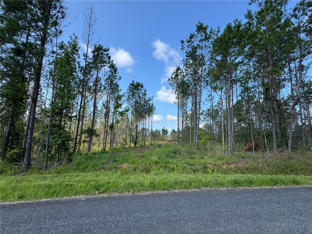 0 PARKER ISLAND, Equality, AL, 36026, Mature pines frame this cleared lot, ready for you