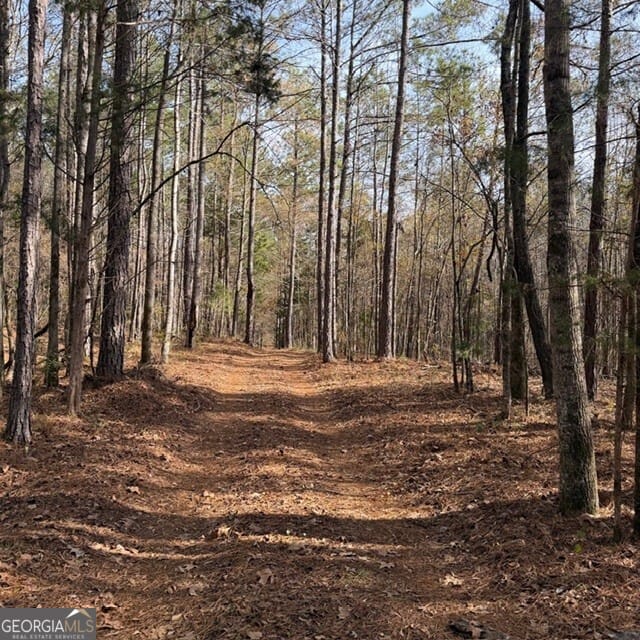 +/- 198 ACRES Dennis Creek, Talbotton, GA, 31827