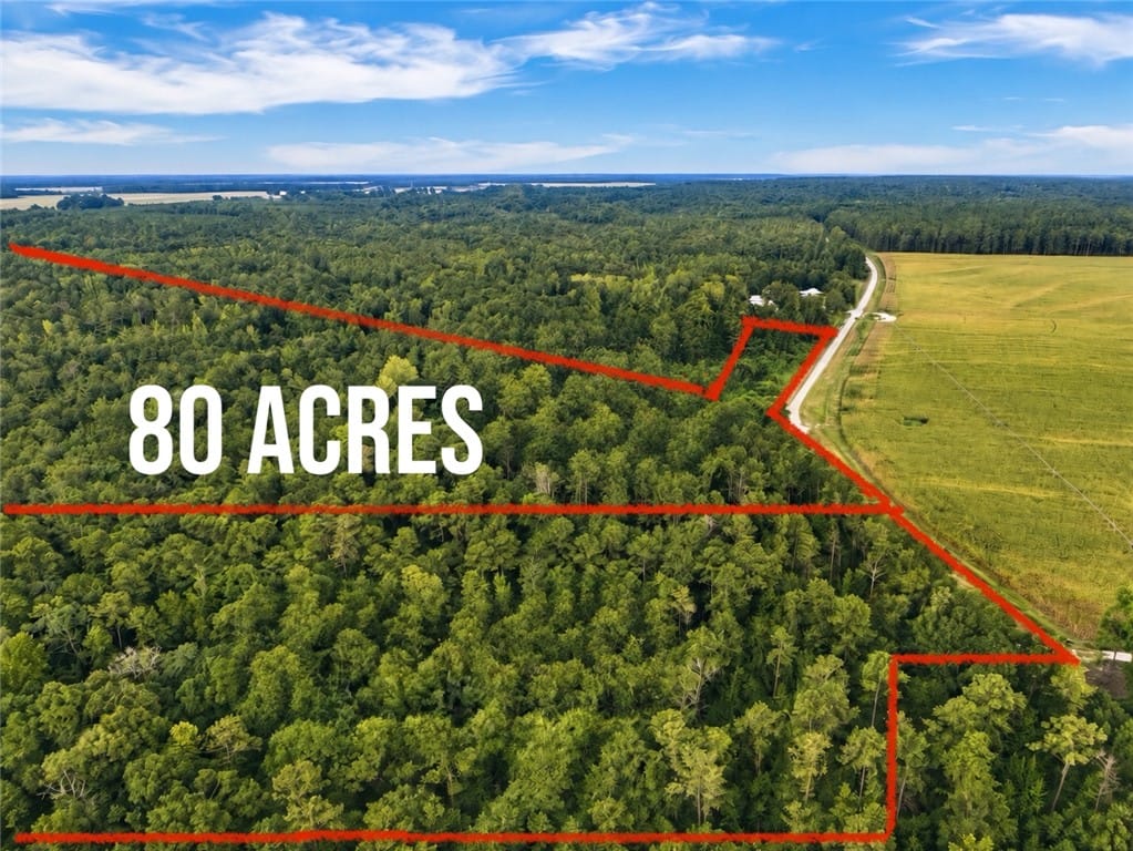 0 COUNTY ROAD 91, Tuskegee, AL, 36083