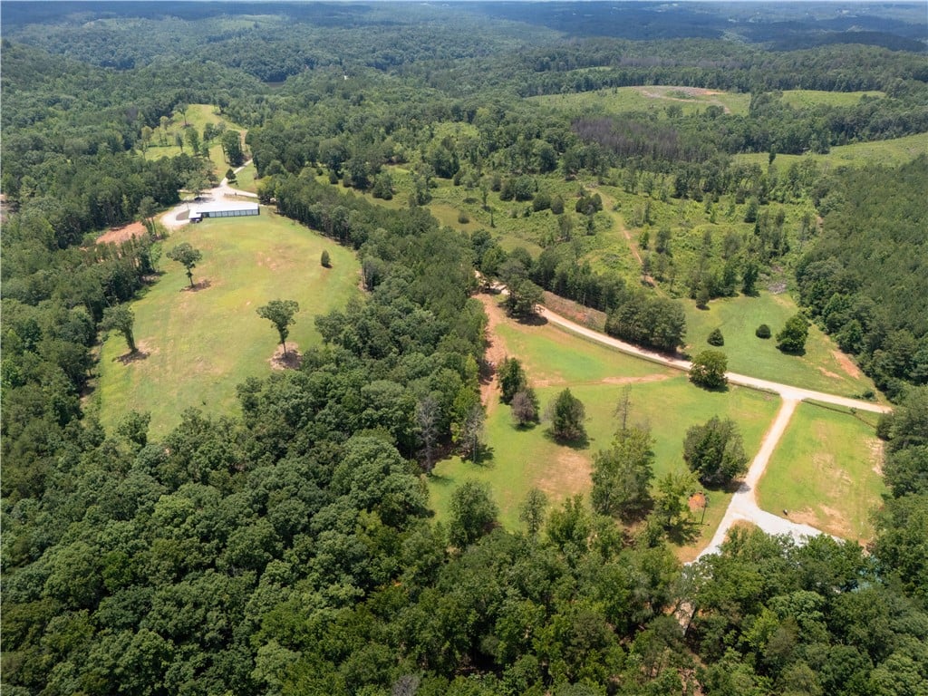 1310 County Road 269, Wedowee, AL, 36278