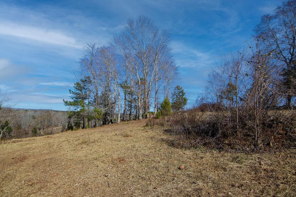 0 Saint Paul Church Road, Shiloh, GA, 31826