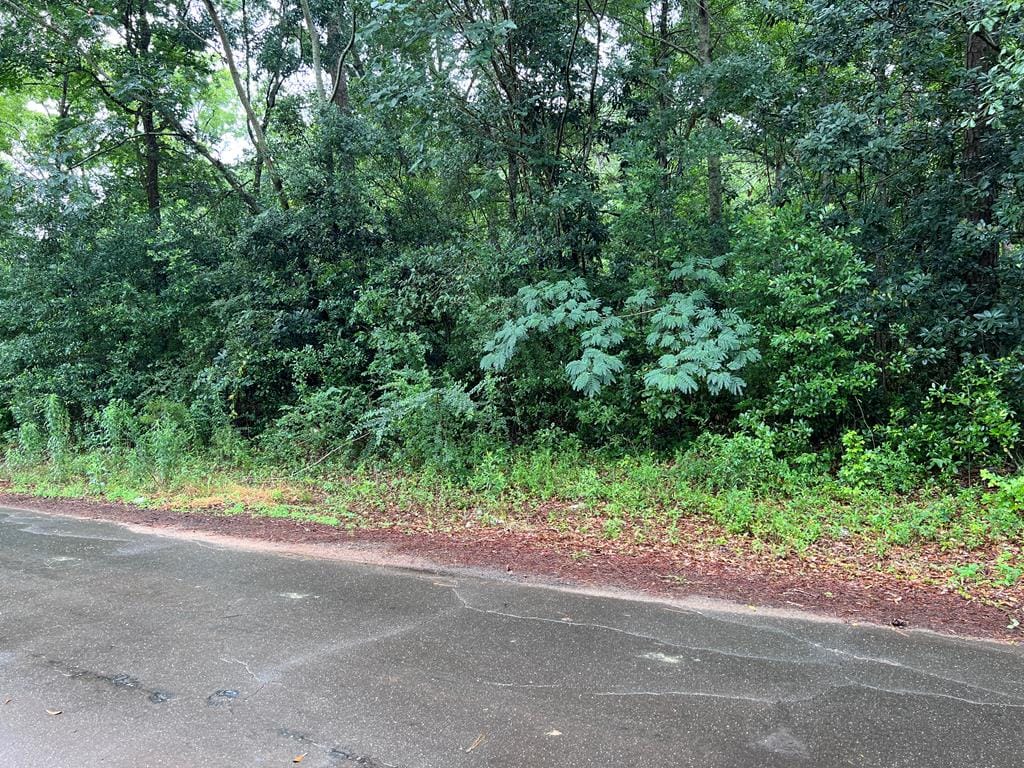 0 Harmony St, Richland, GA 31825, Main View