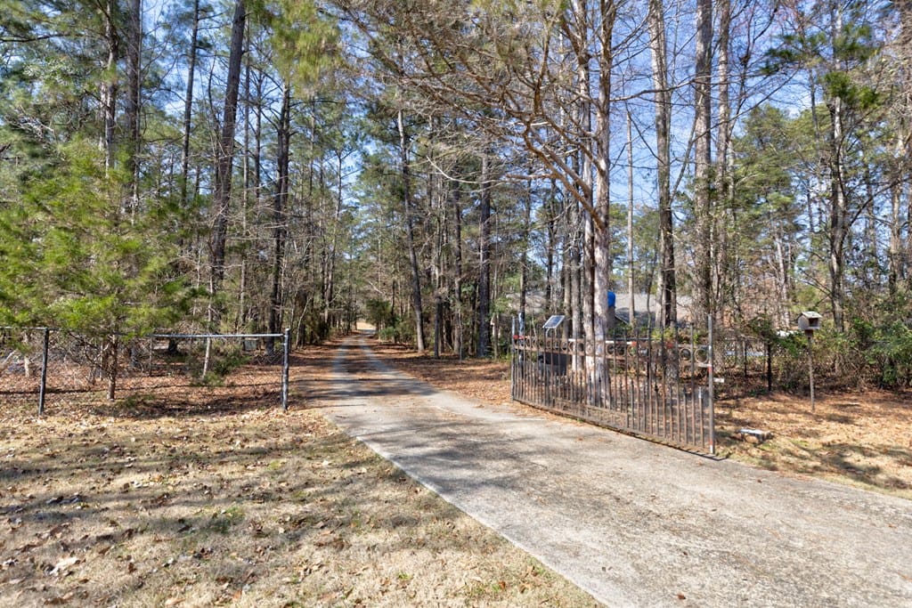 11380 Warm Springs Road, Midland, GA, 31820 — Photo 2