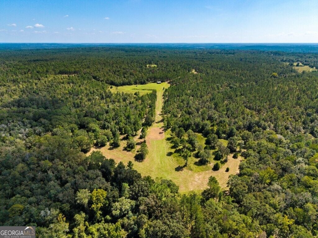 257 Carpenter Road, Rupert, GA, 31081