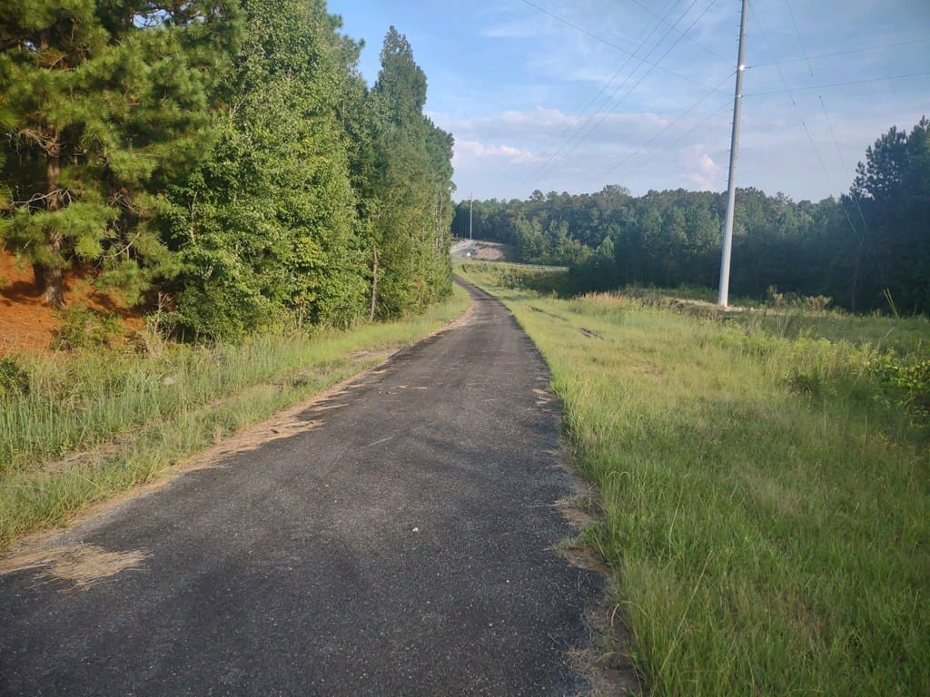 0 Butler Highway, Junction City, GA, 31812 — Photo 2