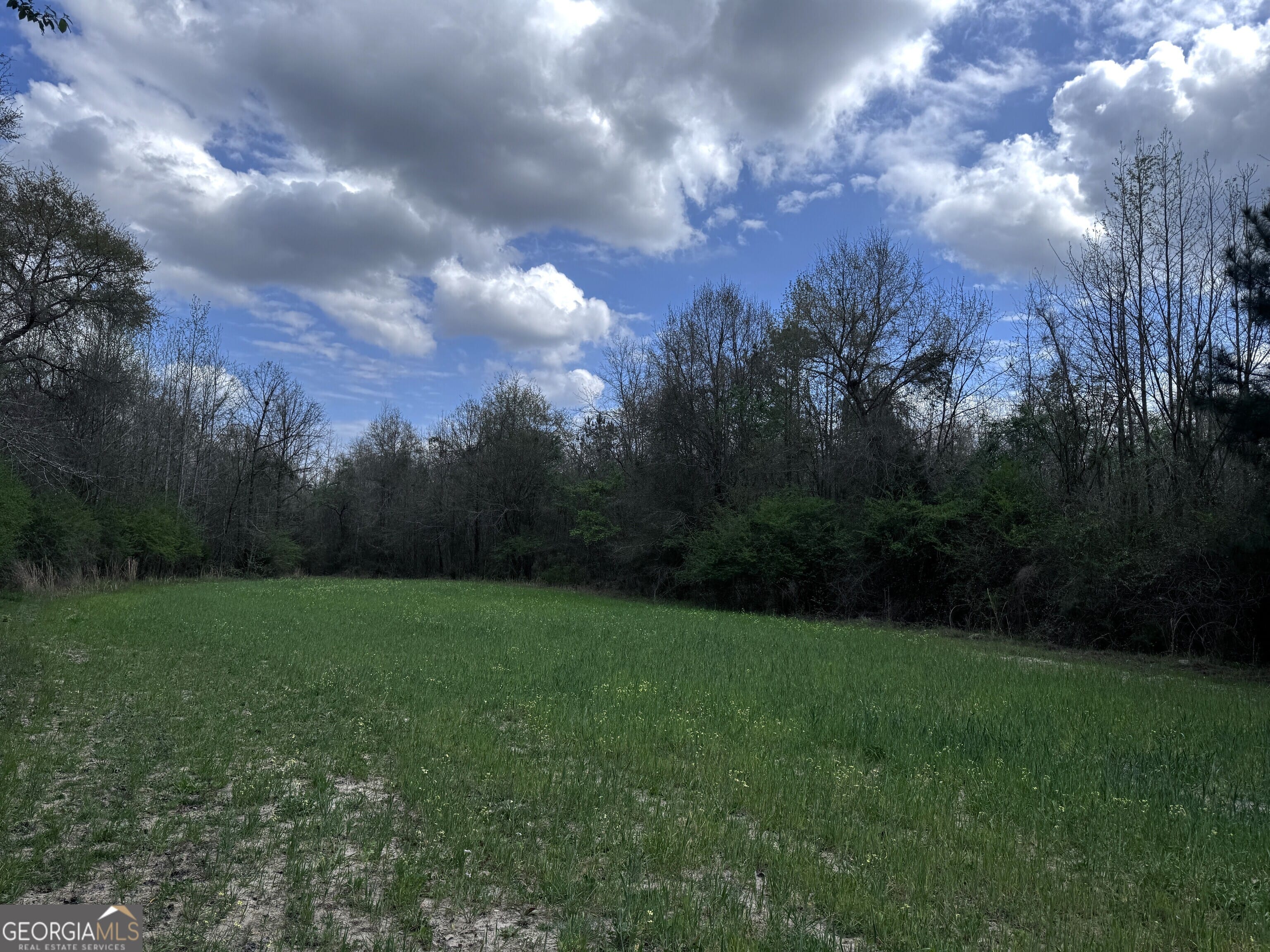 31+/- AC Highway 26, Buena Vista, GA, 31803