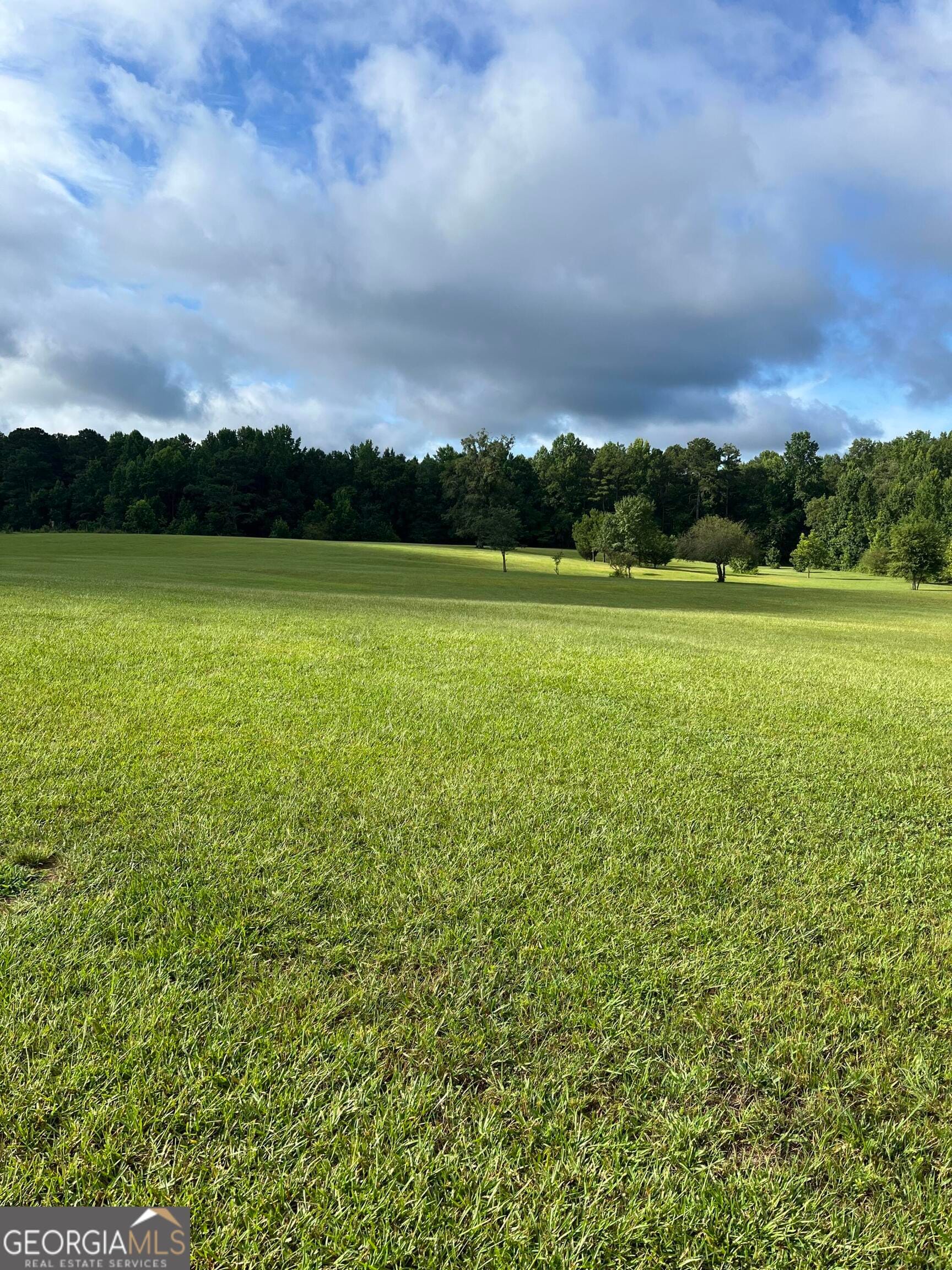 9624 Rocky Mt Rd, Luthersville, GA 30251