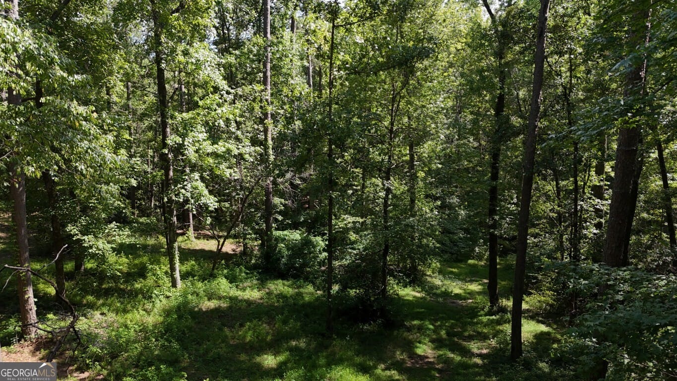 115-LOT 101/ PA Shoal Creek Dr, Sharpsburg, GA, 30277