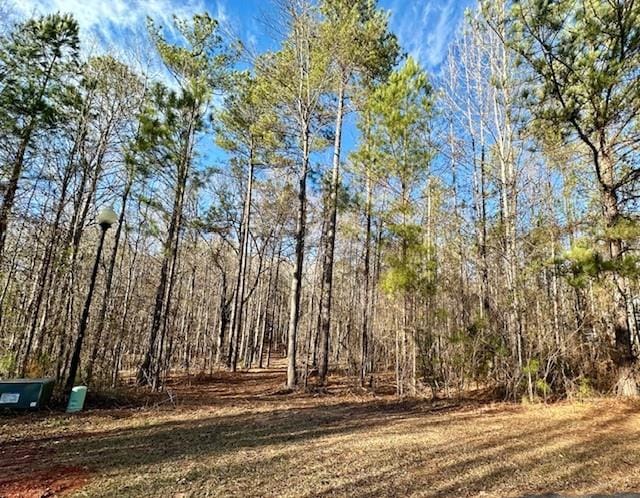 Lot 18 Oak Ridge Drive, Waverly Hall, GA, 31831 — Photo 1