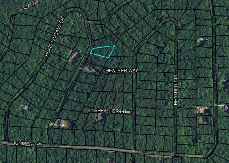 Heather Cir, Georgia 31831