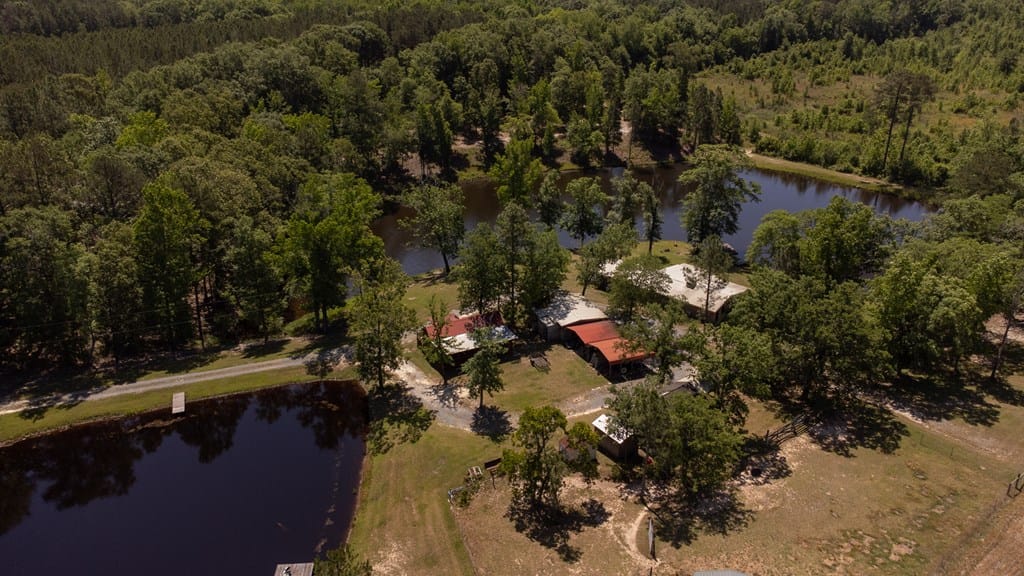 4994 Highway 0137, Buena Vista, GA, 31803 — Photo 2