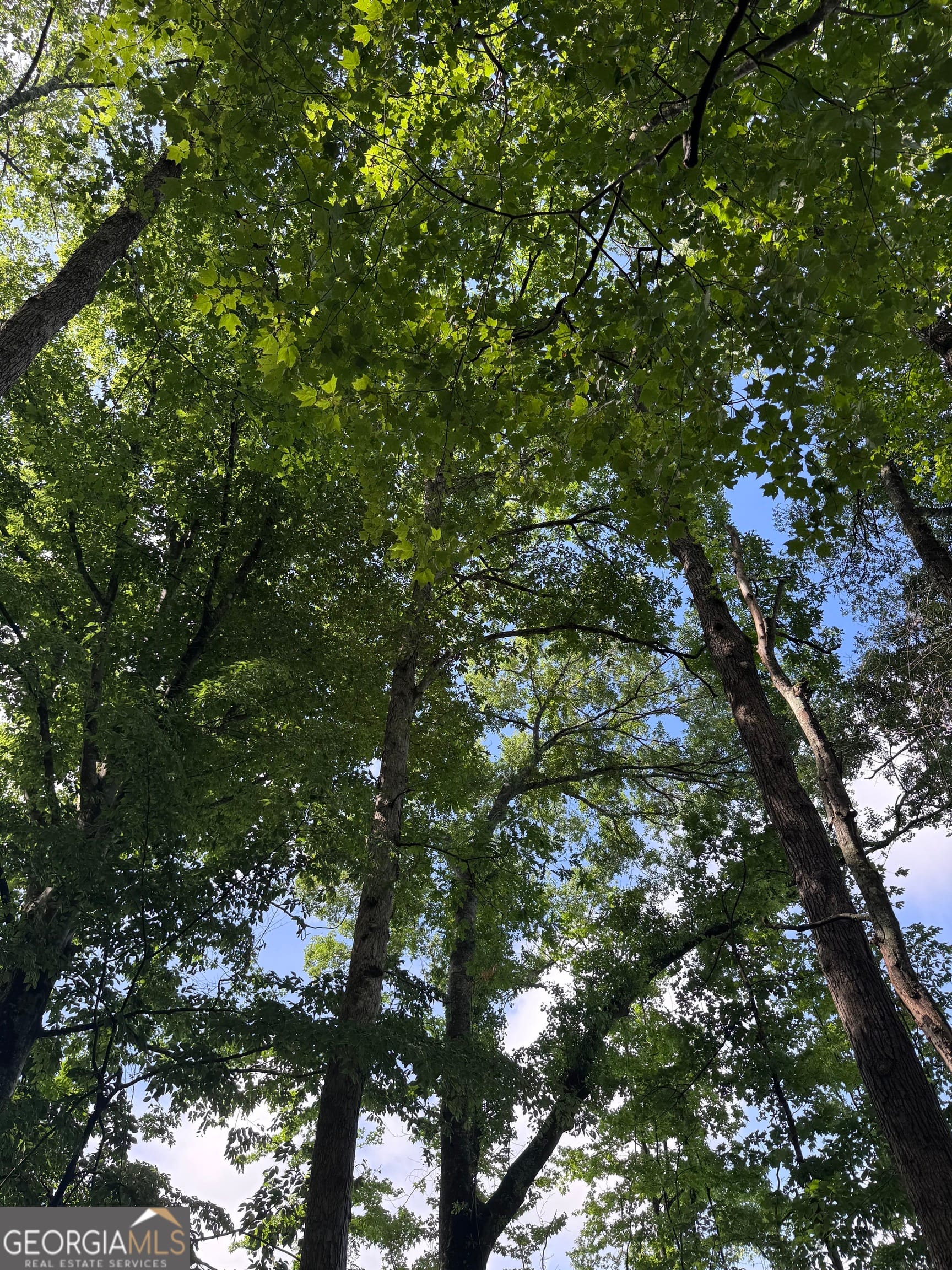 0 Po Biddy Road, Talbotton, GA, 31827