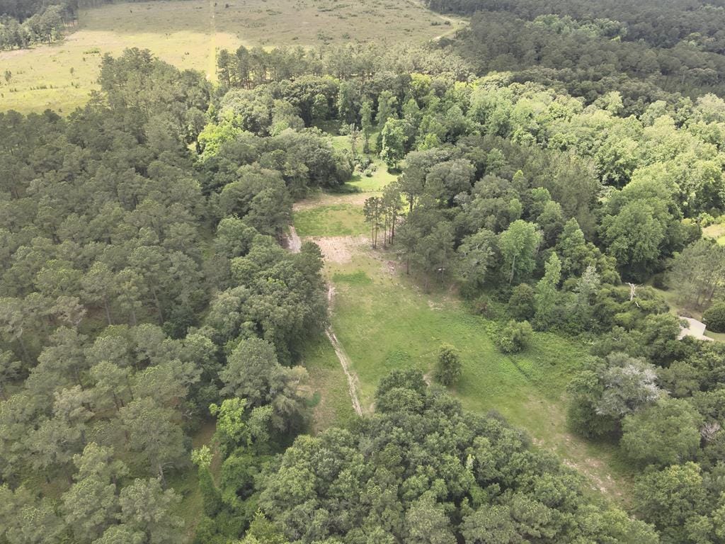 tbd County Line Road, Pelham, GA, 31779