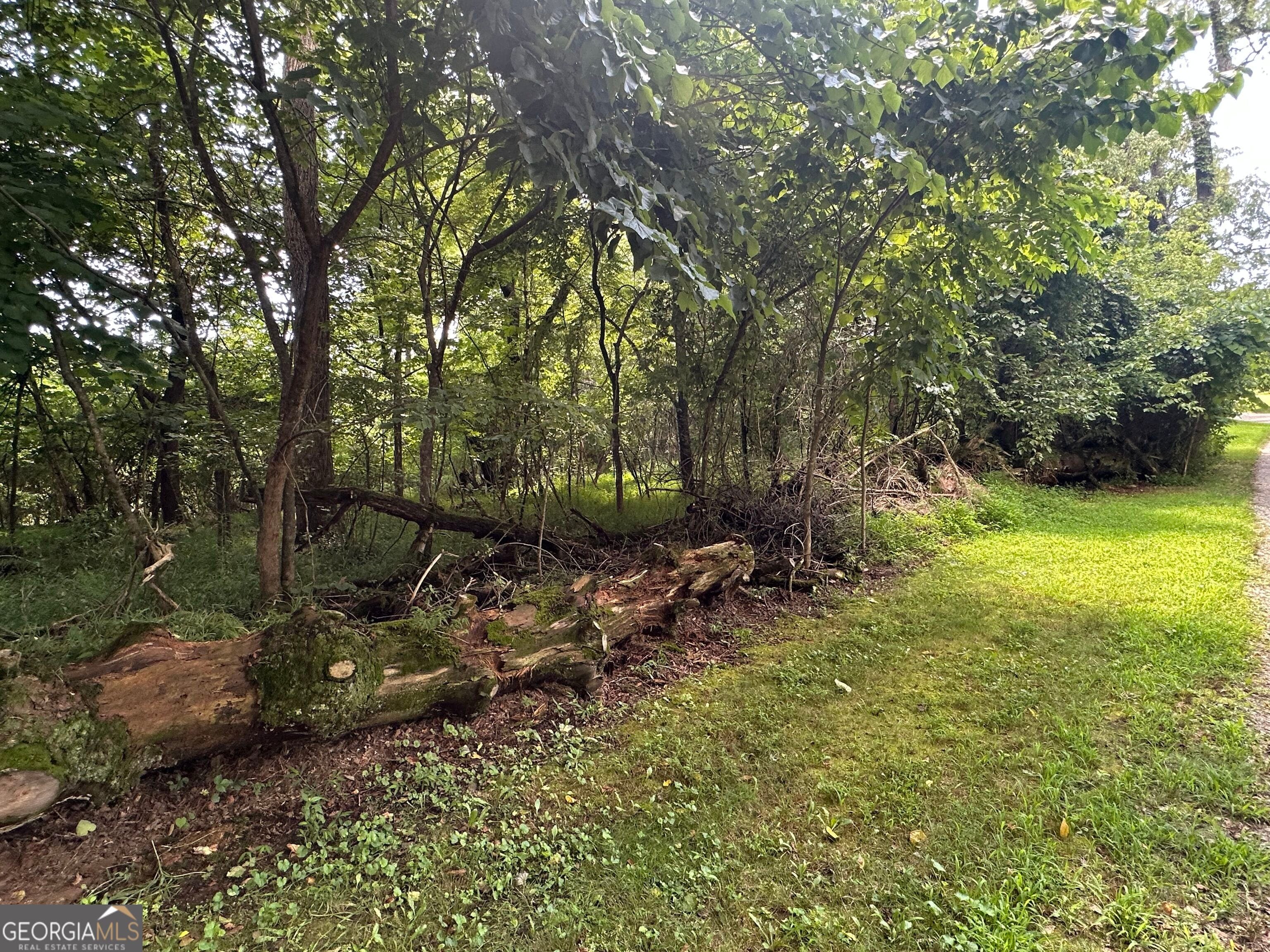 5 Qualla Terrace, Hayesville, NC, 28904